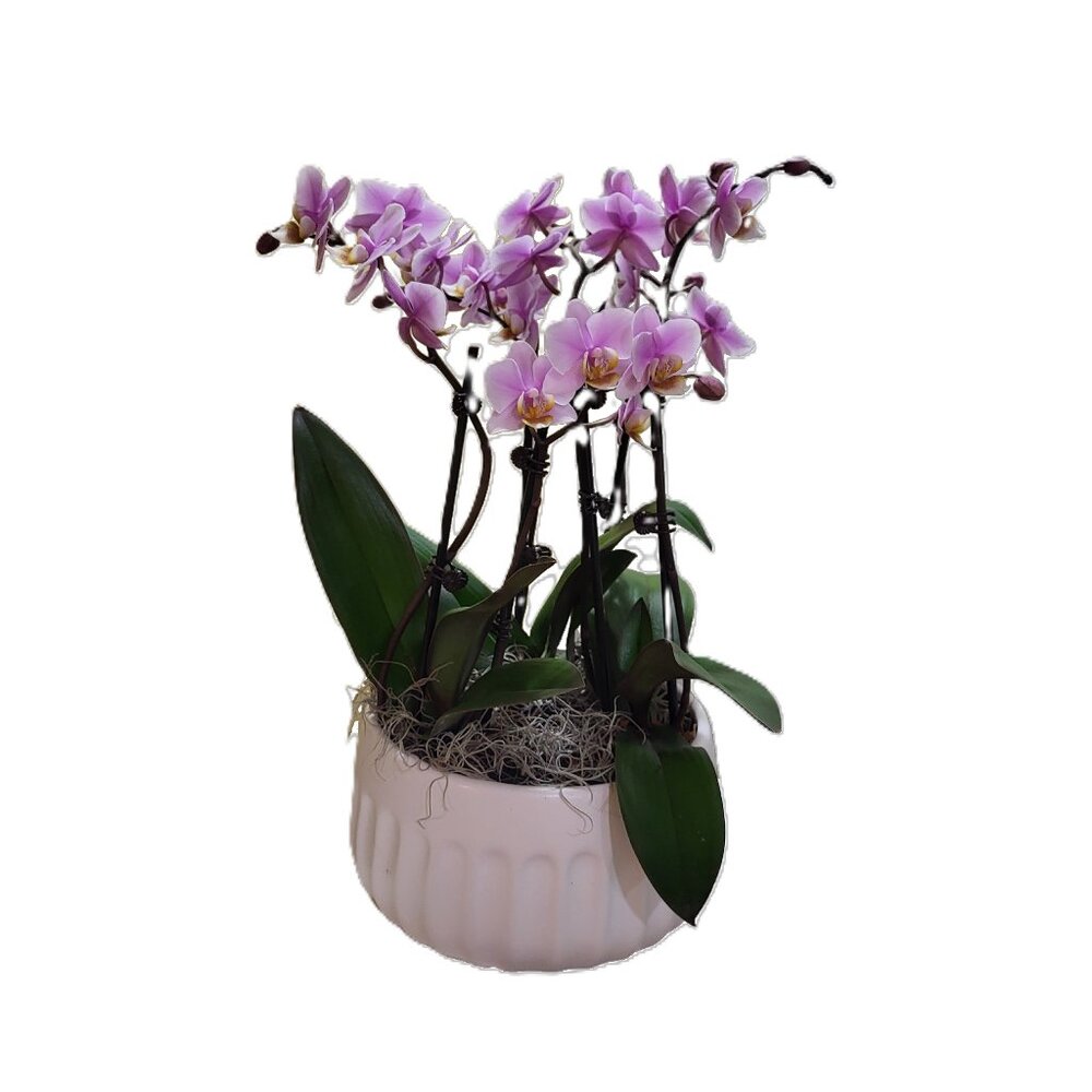 Hi! I am Selling Items From My Closet. Smoked-free, No Pets Home.